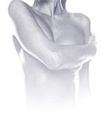 corpo