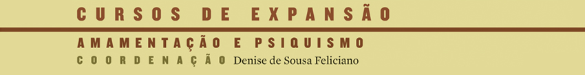 Psicanálise da Criança